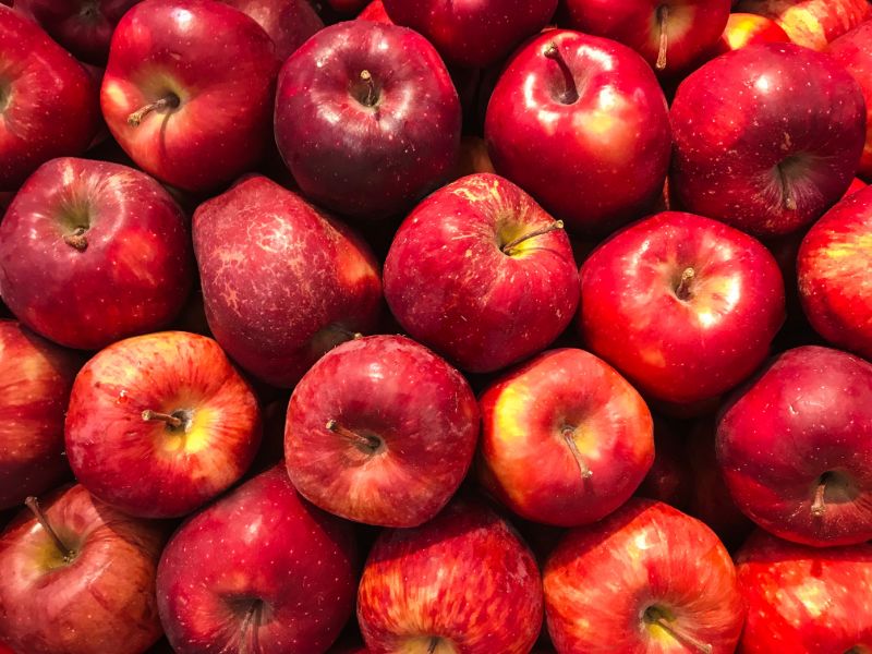 Apples | Storing food