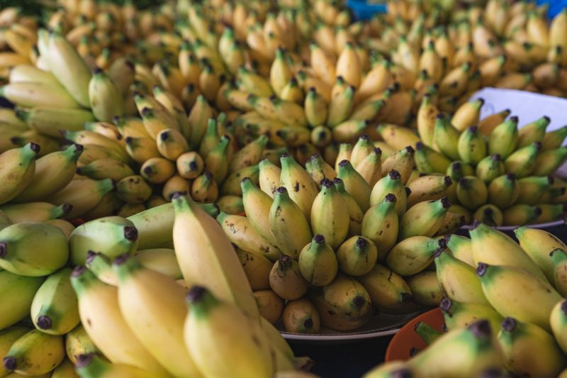 Bananas | Storing food
