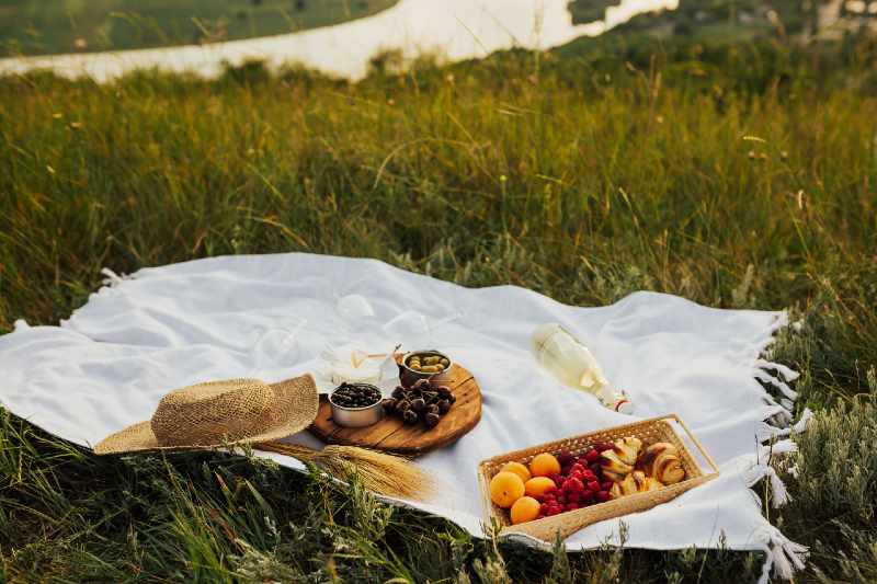 Beautiful summer picnic on a green hill with cotton blanket, straw hat, fresh white wine and some apricots and berry-healthy camping meals