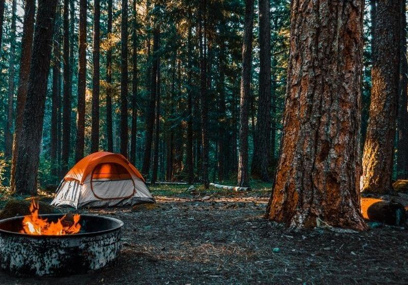 Check out How to Book a Campsite from Parks to RVs to Backyards at https://survivallife.com/book-a-campsite/