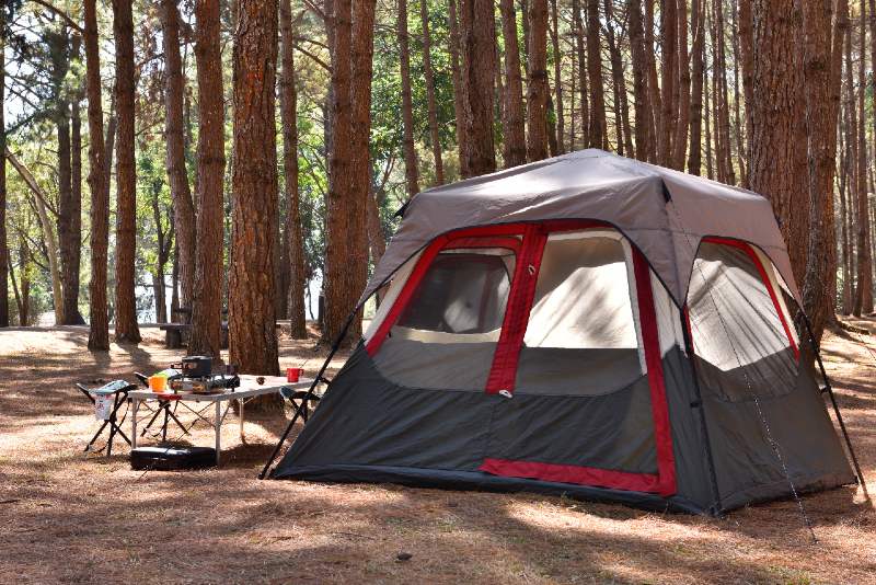 Camping tent with desk and chairs in pine forest-tent