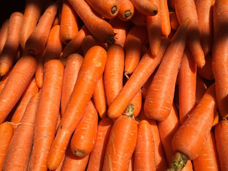 Carrots | Storing food