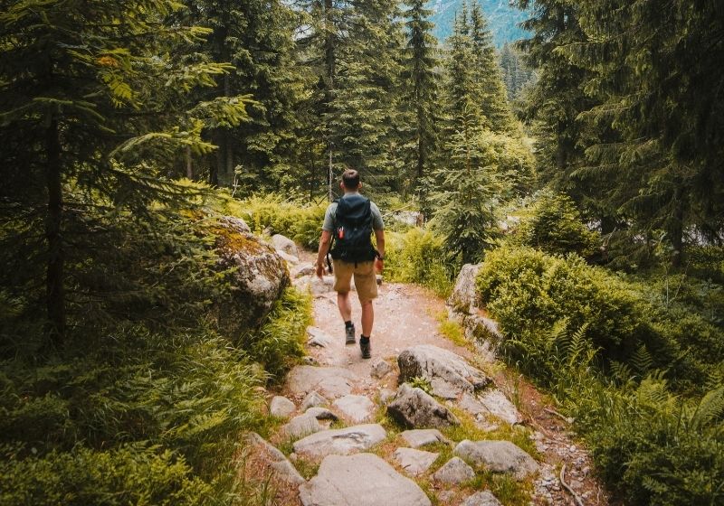 Man walking on trail between trees Best hikes in the U.S. PX 2