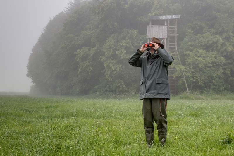 On a rainy day a hunter stands in front of the hunting pulpit-summer hunting