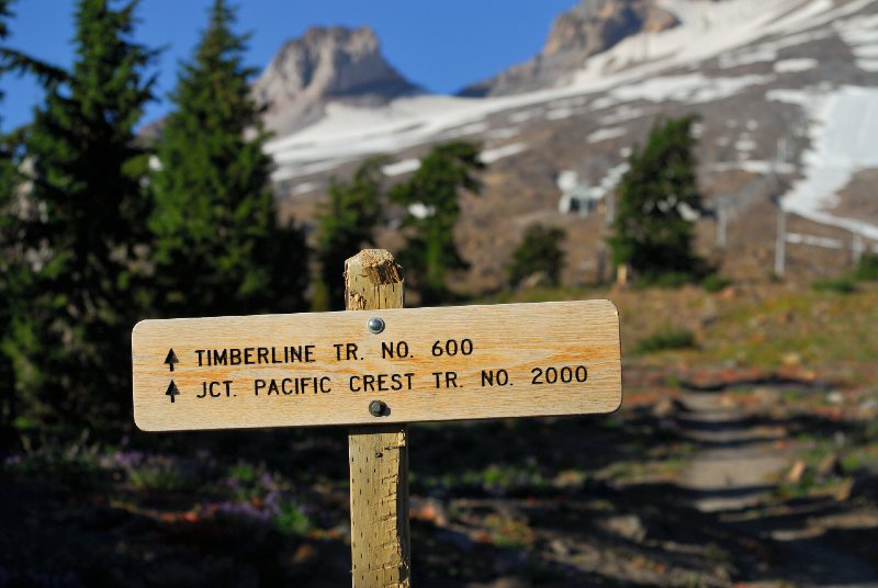 Timberline trail and Pacific Crest trail, Oregon, USA Pacific Northwest-best hiking trails