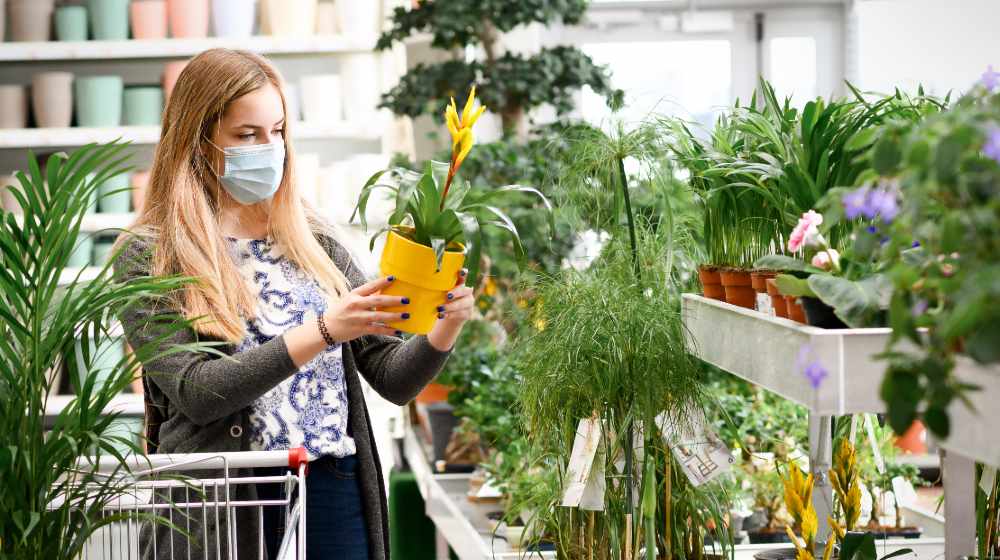 Woman Buying Flowers Shopping Cart Garden Center | Creating a Garden Budget | featured
