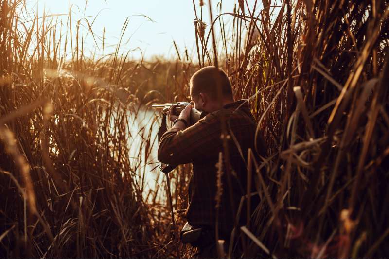 Young hunter man with a shotgun hiding in the reeds near the pond-summer hunting