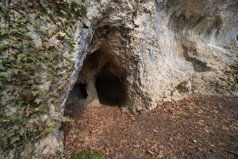 cave-in-the-forest-in-Europe-terrain