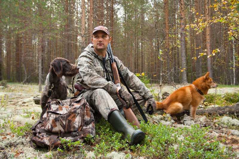 hunter with dogs during the rest on autumn hunting-summer hunting