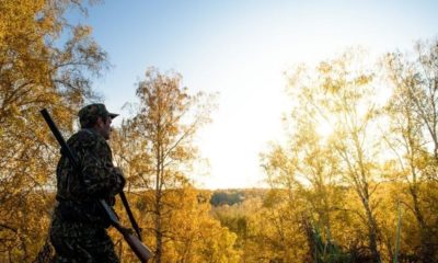 A hunter with a gun in the forest at dawn | Staying Cool in The Summer While Hunting in The Woods | Featured