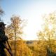 A hunter with a gun in the forest at dawn | Staying Cool in The Summer While Hunting in The Woods | Featured