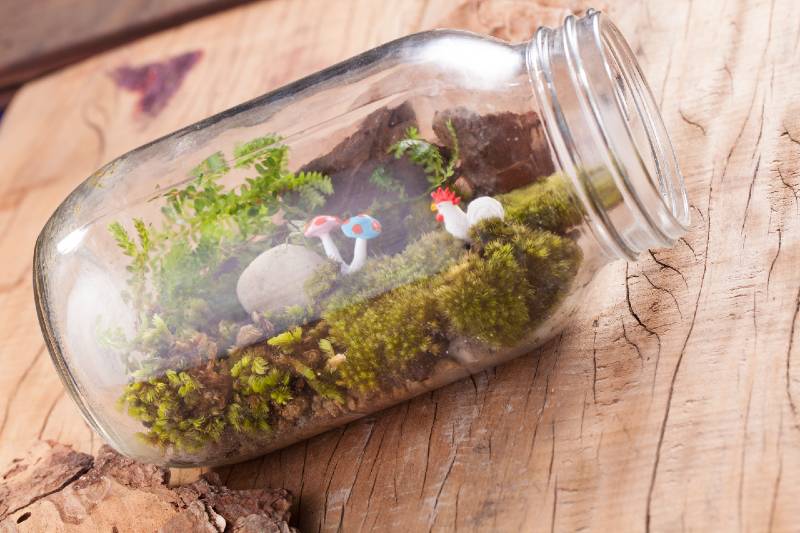 A terrarium garden scene in a transparent bottle with moss, pebble, chicken and mushroom toys on a wooden table - Small Space Garden