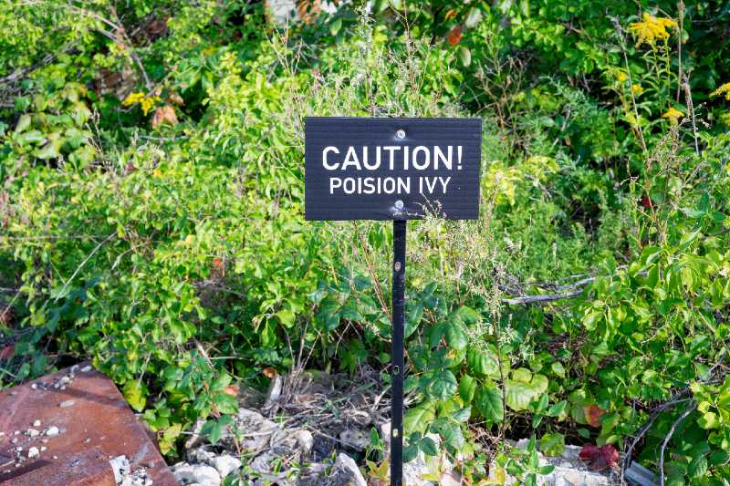 Caution poison ivy sign-Common Poisonous Plants