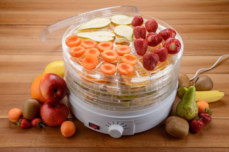 Food dehydrator and fruits on a wooden table | foods to dehydrate 