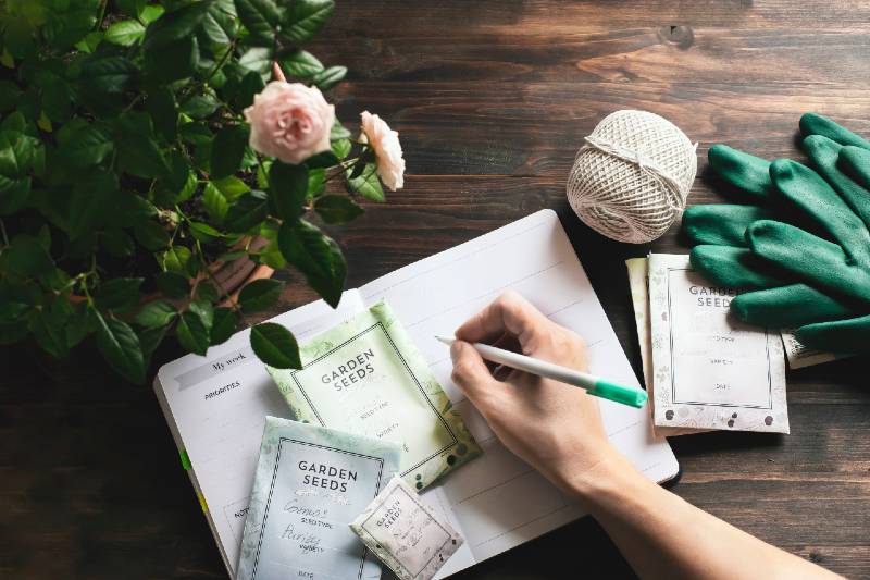 spring gardening planning, envelopes with seeds, gardening gloves against wooden table-Small Space Garden