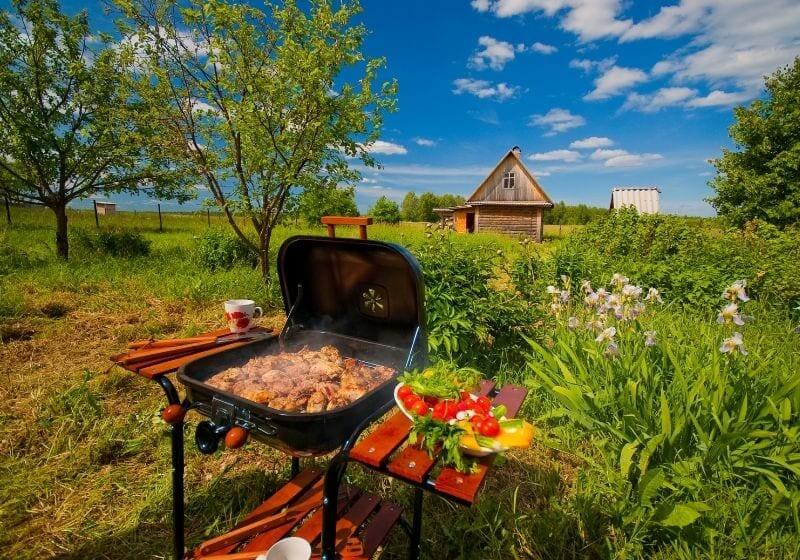 BBQ in the garden on clear summer day | Top 10 Best Portable Camping Grills