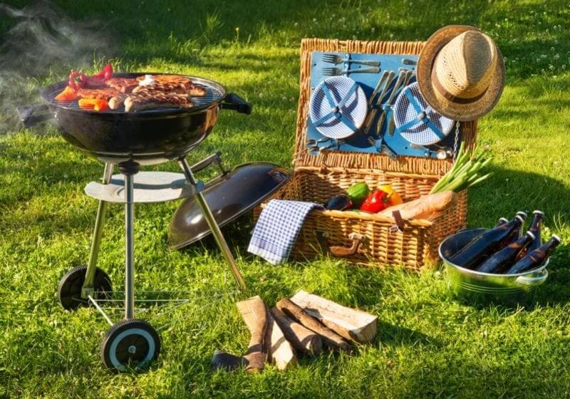 Barbecue picnic on a meadow |Top 10 Best Portable Camping Grills
