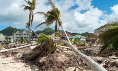 Hurricane Irma aftermath destruction | Essential Survival Tips From A Hurricane Irma Survivor | Featured