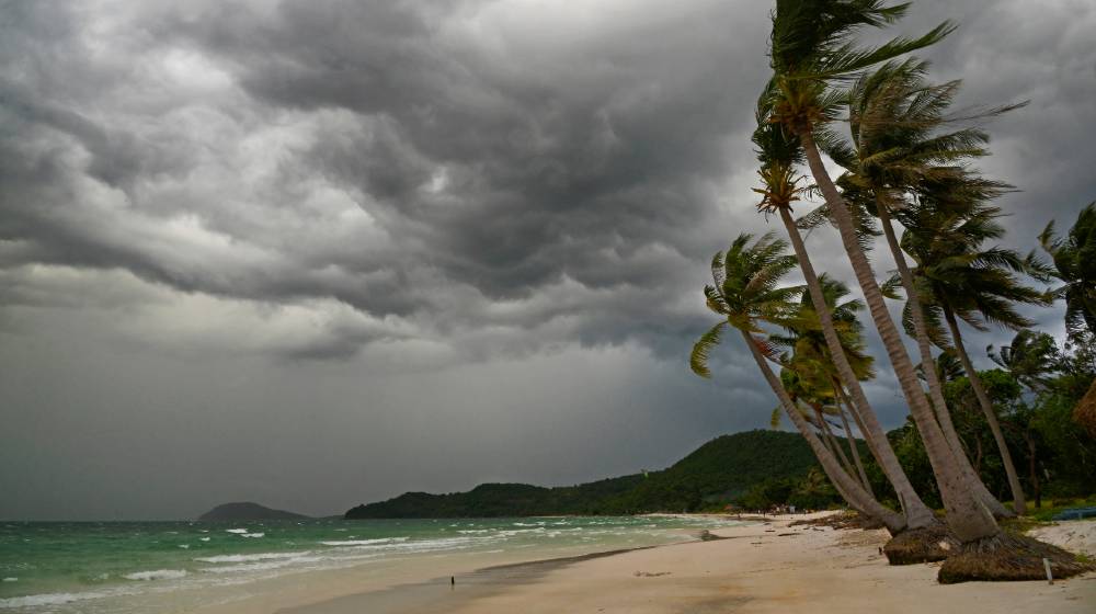 Palm at hurricane. Star beach, Phu Quoc island, Vietnam | Hurricane Hacks Most Don’t Know! | featured