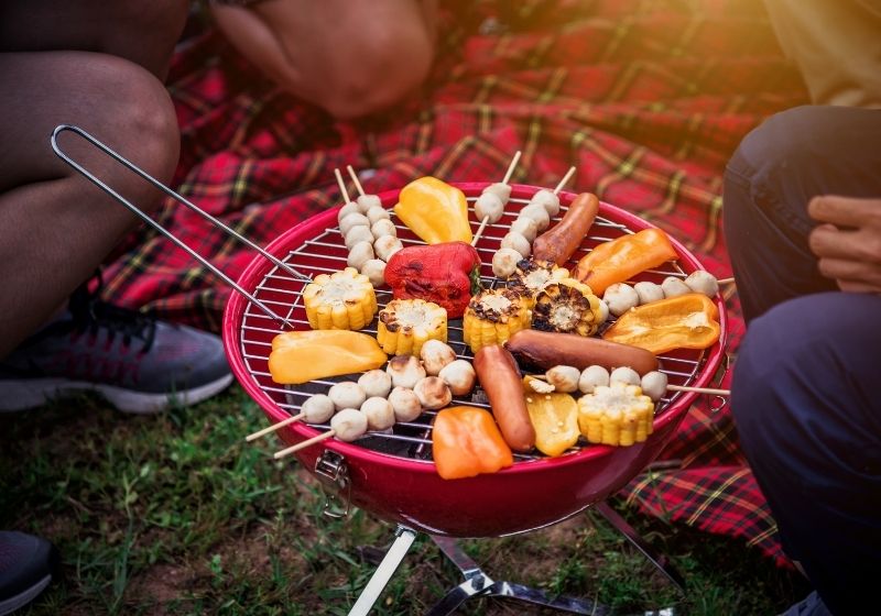 Picnic , BBQ , Party Camping with Friends | Top 10 Best Portable Camping Grills