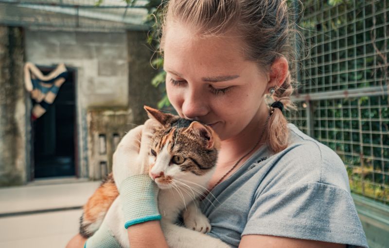 Volunteer holds cat |  Domestic Disaster Plan