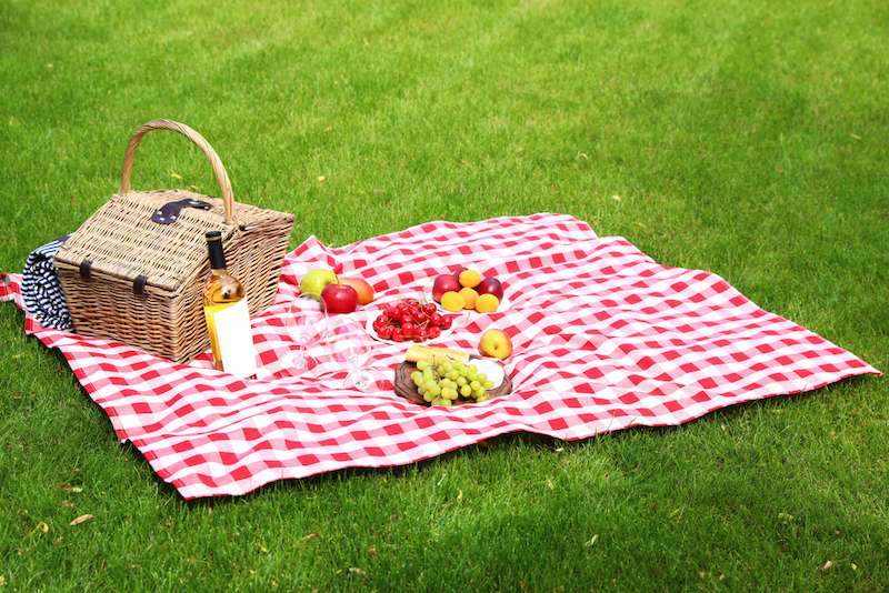 Picnic basket-products-bottle-wine-on |  what should you bring to the picnic