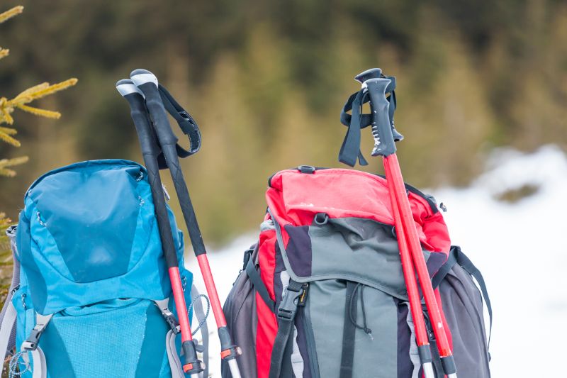 Backpack trekking poles | REI camping