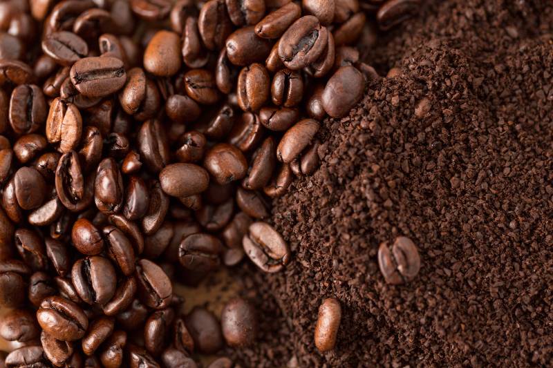 Coffee Beans and Grounds from Above Close Up-safety camping tips