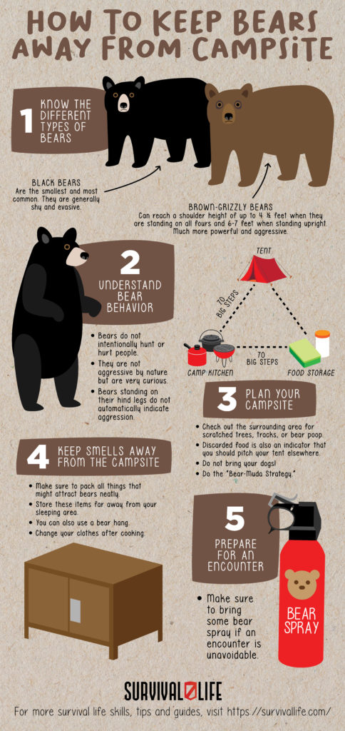 5 Ways On How To Keep Bears Away From Campsite | Survival Life