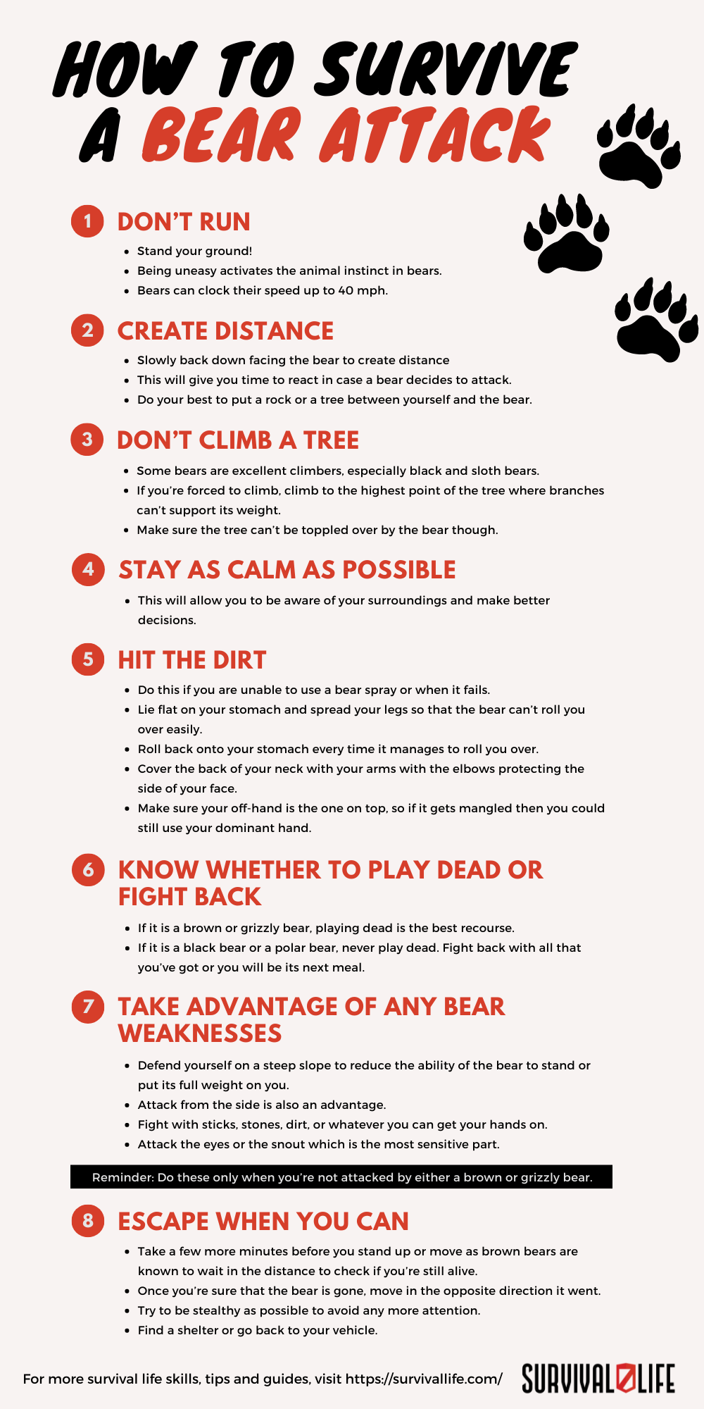 SL_How To Survive A Bear Attack_INFOG