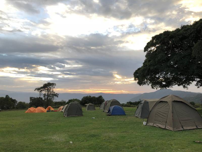 Safari campsite with tents in safe distance to each other on green grass on the edge-camping safety