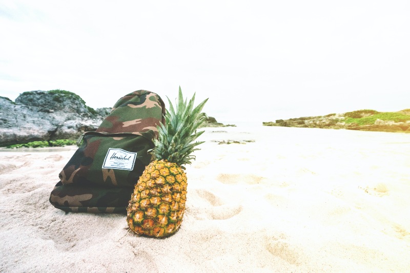 Pineapple Fruit Beside Backpack on White Sand | Camping Food Hacks