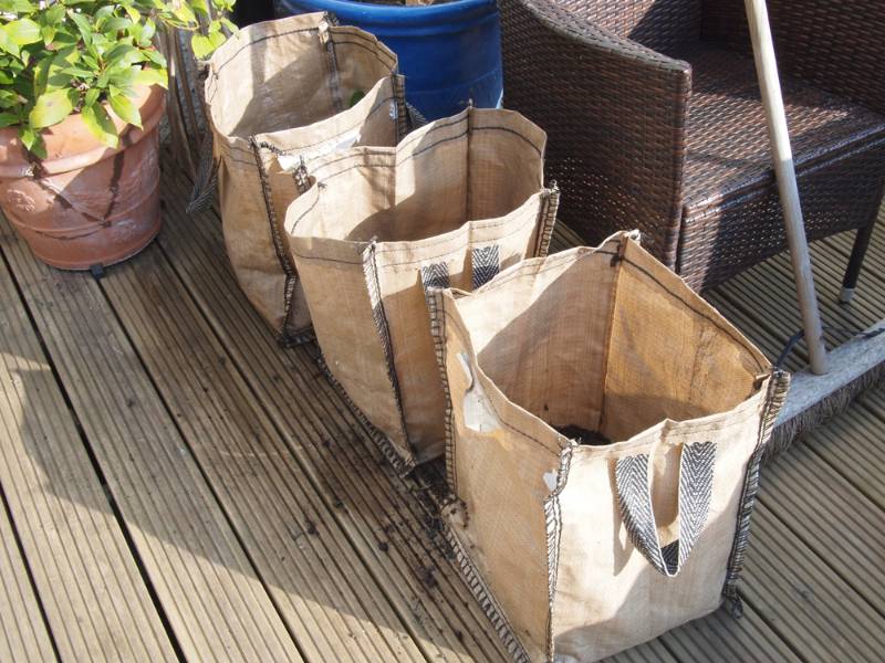three-potato-grow-bags-urban-environment rural vs urban prepping ss