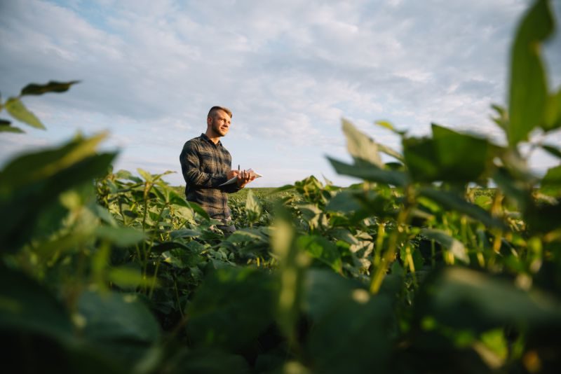 Agronomist inspecting soya bean crops growing | What to own when the dollar collapses