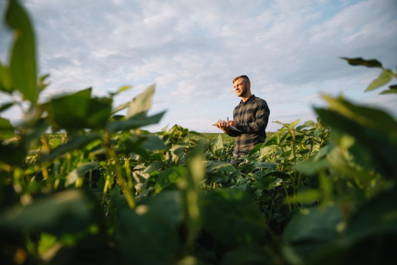 Agronomist inspecting soya bean crops growing | What to own when the dollar collapses