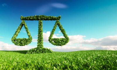 Eco friendly law, politics and eco balance concept | Environmental Policy FAQs | How to Write an Environmental Policy | featured