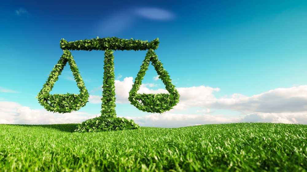 Eco friendly law, politics and eco balance concept | Environmental Policy FAQs | How to Write an Environmental Policy | featured
