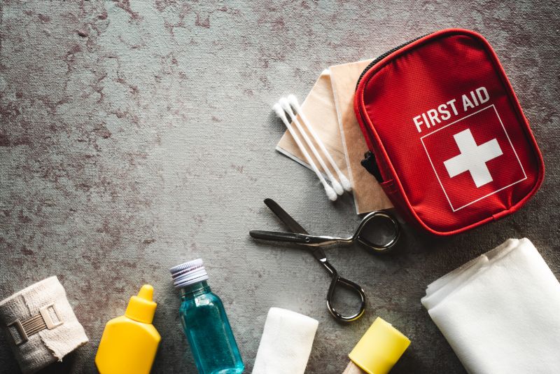 First aid kit bag | Emergency essentials