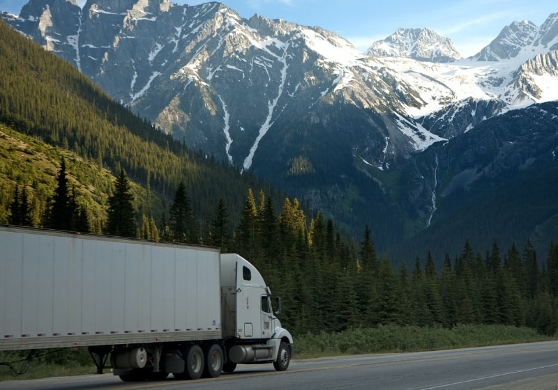 White dump truck near pine tress during daytime | trucking news