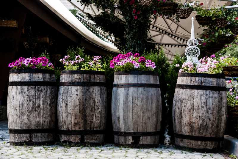 Flower decor in the wooden barrel and baskets-Plant Flowers in a Barrel