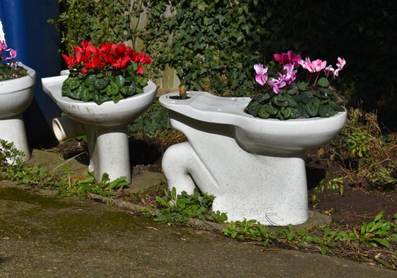 Turning a toilet into planter is quirky | 17 Upcycled Garden Ideas to Decor Your Garden While Saving Mother Earth