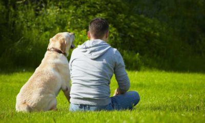 Young man with his dog on meadow | Grow a Dog Herbal Garden | 10 Medicinal Herbs for Dogs | featured