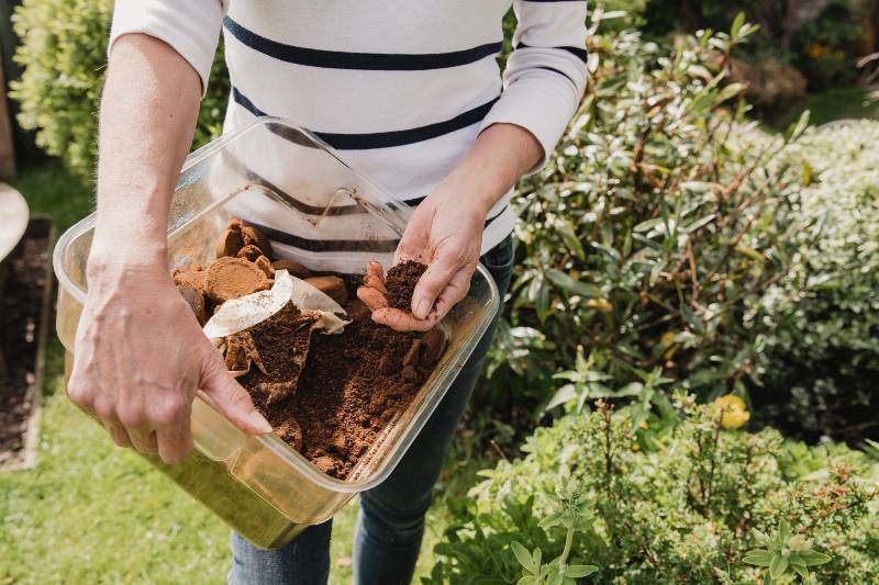 a box of used coffee ground to use as compost in her garden-How to Keep Cats Away from Plants