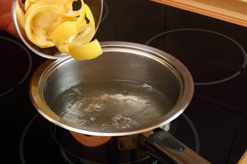 lemon peel into saucepan-How to Keep Cats Away from Plants