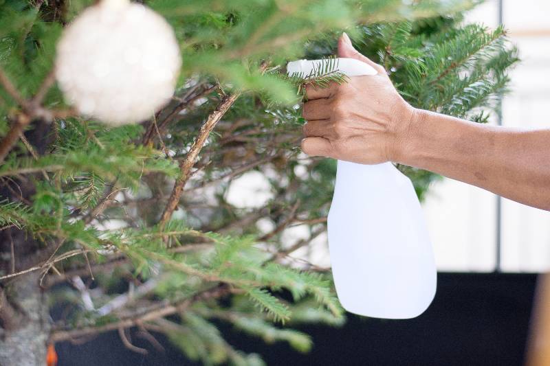 real Christmas tree care-How to Keep Cats Away from Christmas Tree