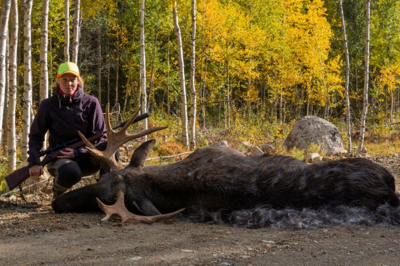 young-female-hunter-posing-big-moose moose hunting