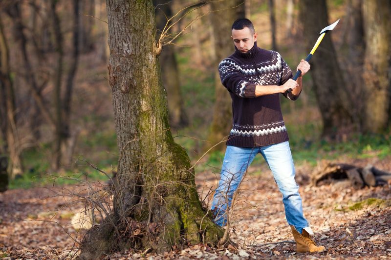 Lumberjack Cutting the Tree with Axe in the Forest | Coppicing Trees for Firewood