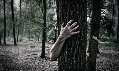 Man grabbing a tree | what states will survive the zombie apocalypse | featured