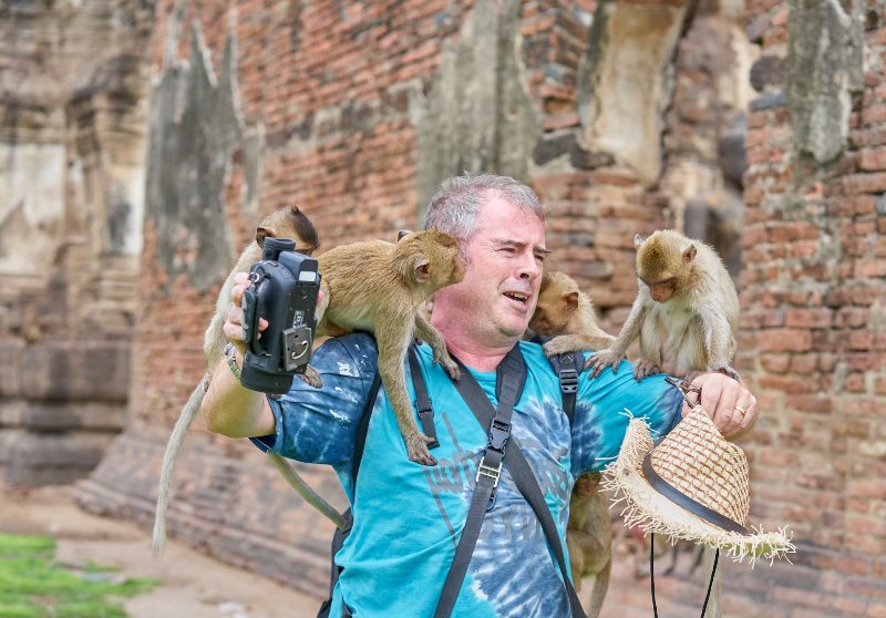 На фотографа-туриста карабкаются дикие обезьяны |  Как пережить нападение обезьяны