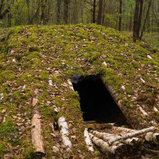 Military Underground Bunker Camouflaged by Logs and Moss | How to Build a Bomb Shelter | Featured